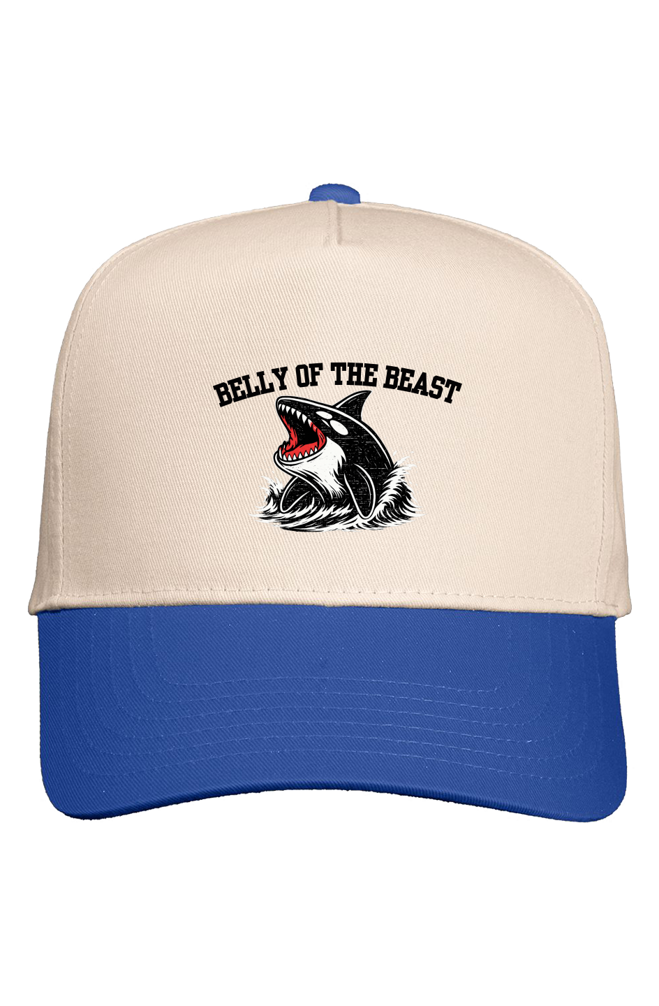 BOTB Snapback