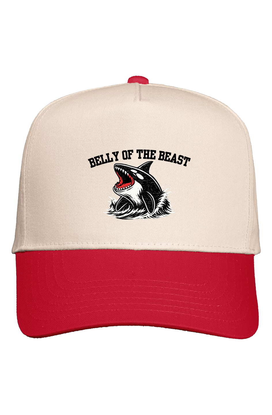 BOTB Snapback